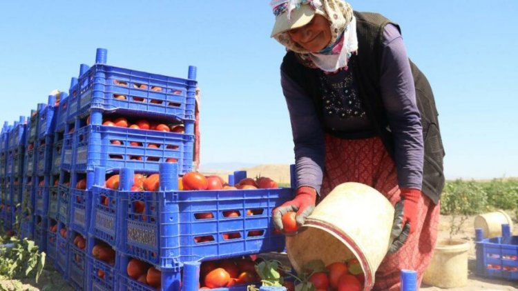 TARLA VE MARKET ARASINDA 5 KAT FARK