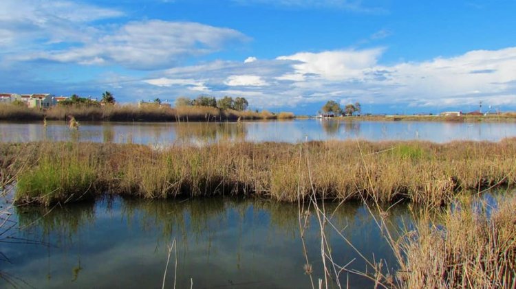 KUŞADASI SİVİL TOPLUM ÖRGÜTLERİ BASIN AÇIKLAMASI!