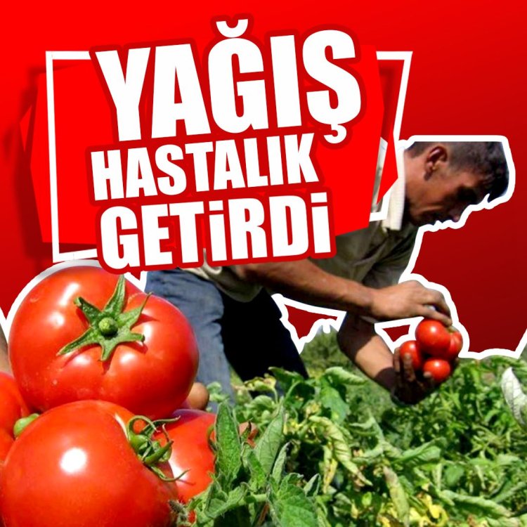 YAĞIŞ HASTALIK GETİRDİ