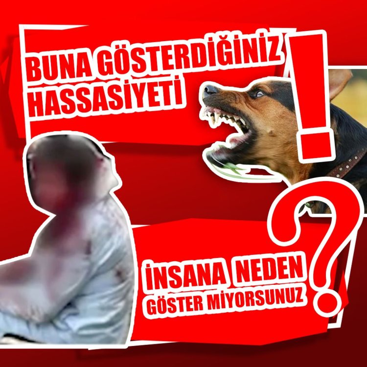 BU HASSASİYETİ İNSAN İNSANA NEDEN GÖSTERMİYOR ???