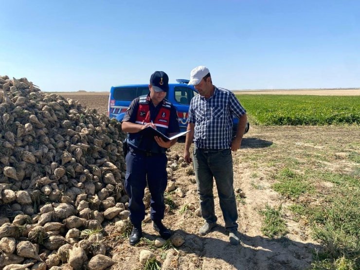 Aydın’da tarımsal ürün hırsızlarına darbe