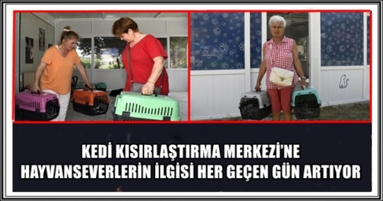 KEDİ KISIRLAŞTIRMA MERKEZİ’NE HAYVANSEVERLERİN İLGİSİ HER GEÇEN GÜN ARTIYOR