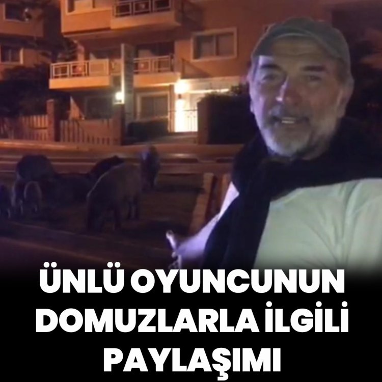 ÜNLÜ OYUNCU ÜMİT ACAR'DAN KUŞADASI'NDA DOMUZ SÜRÜSÜ PAYLAŞIMI: "ZARARSIZLAR, ENDİŞE ETMEYİN"