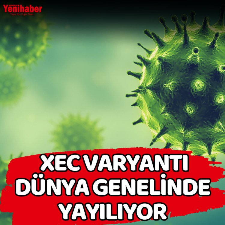 XEC  VARYANTI DÜNYA GENELİNDE YAYILIYOR