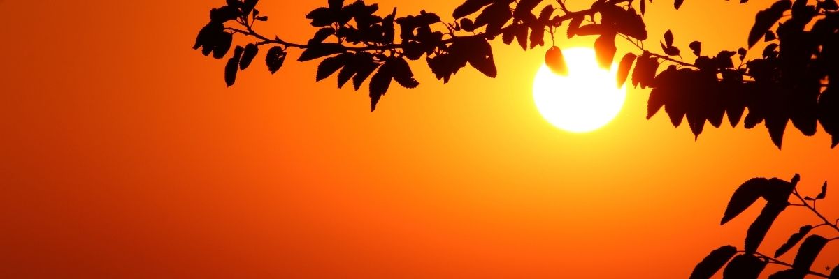 Kuşadası’ndan Gerçek Hayat Hikâyeleri