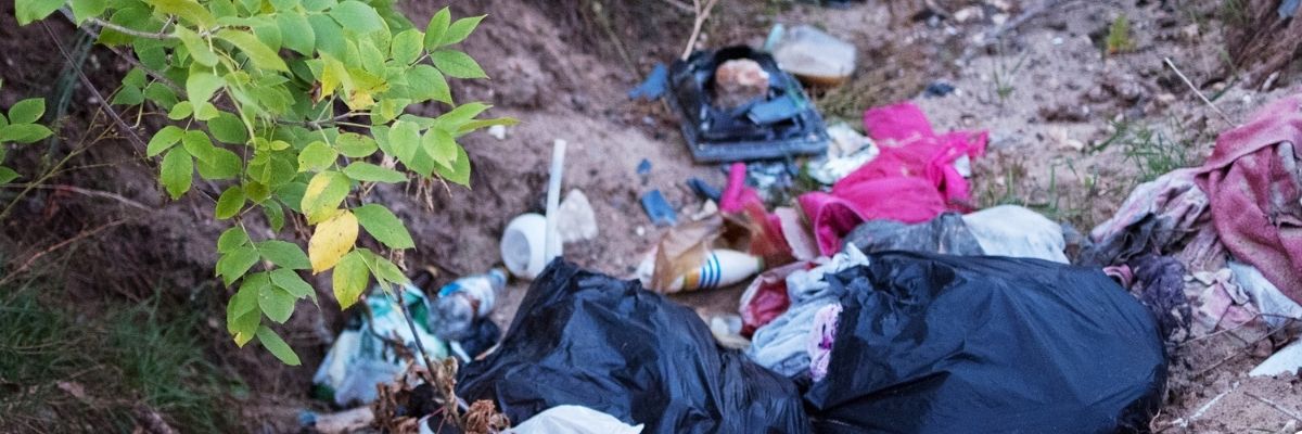 Kuşadası Çevre Etkinlikleri
