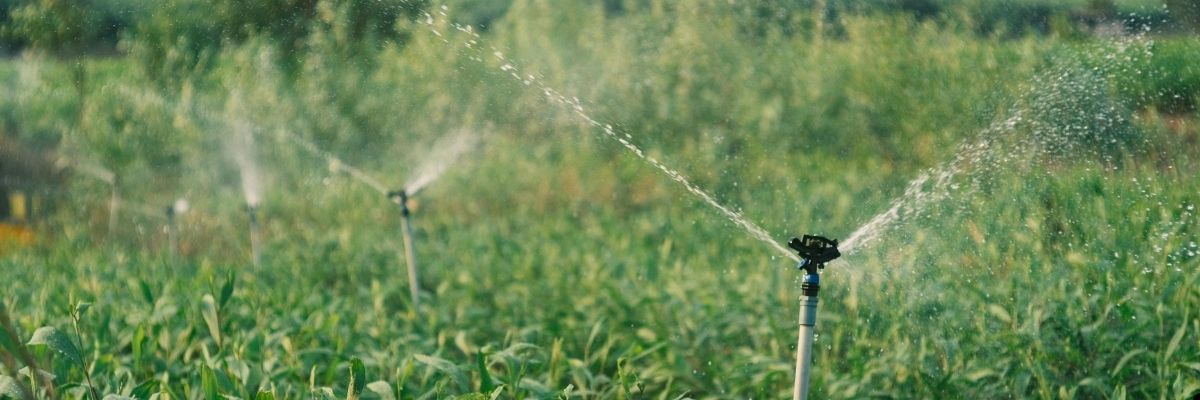Kuşadası Parklarında Akıllı Sulama Dönemi Başladı